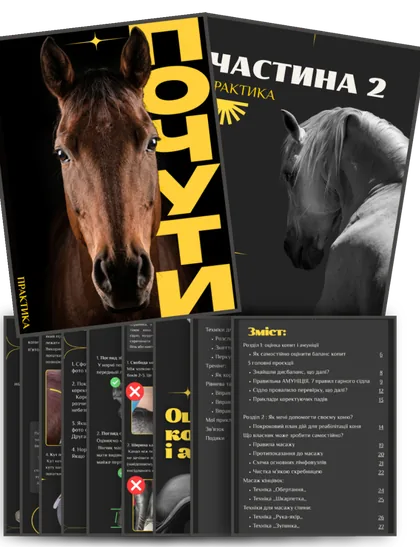 PDF Практика