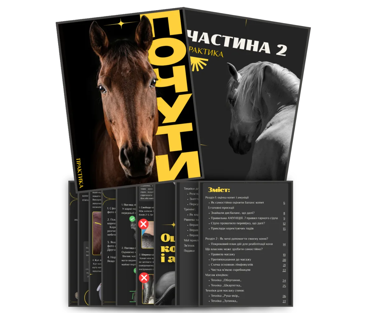 PDF Практика для роботи з тілом коня